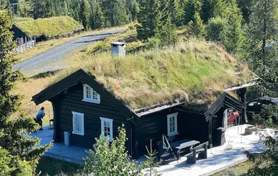 a house with a grass roof with a man standing in front of it at 4 Bedroom Pet Friendly Home In Svingvoll in Svingvoll