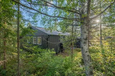 a small cabin in the woods with trees at Cabin At The Foot Of Andersnatten in Engar
