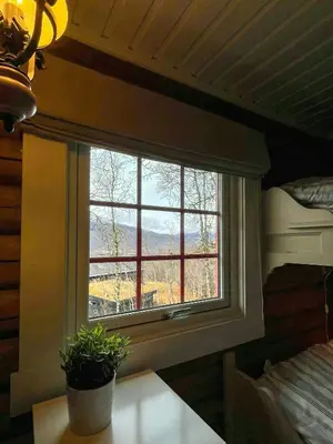 a window in a room with a plant on a table at Timber Cabin With Ski-In Access At Solheisen in Hemsedal