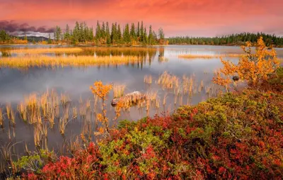 a lake in the fall with trees in the background at 3 Bedroom Gorgeous Home In Nesbyen in Nesbyen