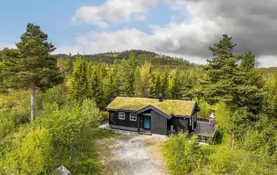 a small cabin with a grass roof in a forest at 3 Bedroom Gorgeous Home In Nesbyen in Nesbyen