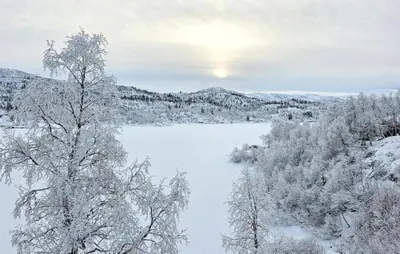 a view of a lake with snow covered trees at Amazing Apartment In Edland With House Sea View in Nesland
