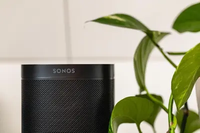 a black speaker sitting next to a plant at Modern apartment on Bryggen Walking distance to everything! in Bergen