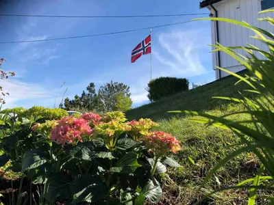 a flag flying on top of a hill with flowers at House with oceanview, 4 bedrooms, close to Bergen in Alversund