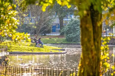 a man sitting on a park bench next to a pond at Cozy Apartment in Bergen in Bergen
