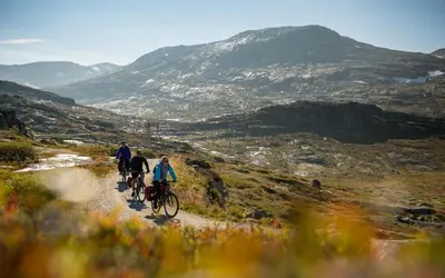 a group of people riding bikes down a mountain trail at Gemütliche Hütte in traumhafter Natur auf 1000 m in Ål