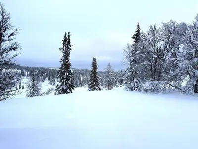 a snow covered hill with trees in the background at Gemütliche Hütte in traumhafter Natur auf 1000 m in Ål