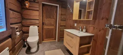 a bathroom with a toilet and a sink at Krøderen Laftet tømmerstue fra 2021