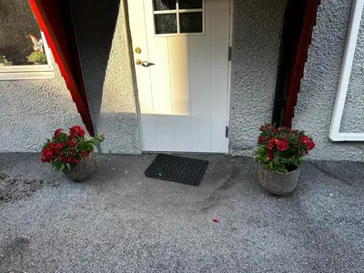 two potted plants sitting in front of a door at Tasteful apartment in Sogndal with parking in Sogndal