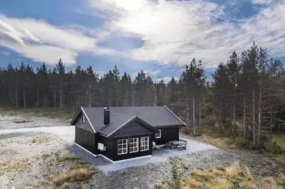 a small house in the middle of a forest at Modern cabin with everything you need! in Sanderstølen