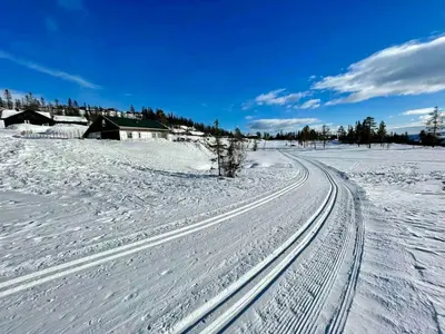 a snow covered field with tracks in the snow at Cozy family cabin with fireplace and near ski trails in Lii