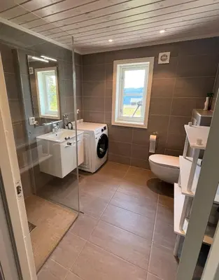 a bathroom with a sink and a washing machine at Cozy family cabin with fireplace and near ski trails in Lii
