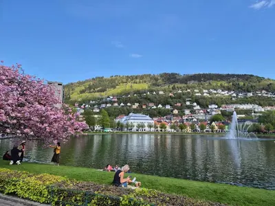 a group of people sitting on the grass near a lake at Penthouse apartment with garden and amazing view, in Bergen