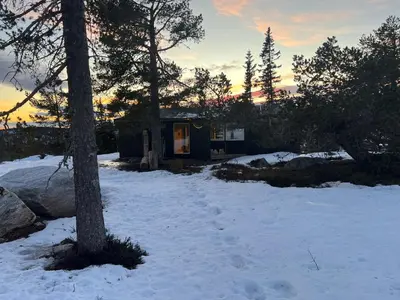 a small cabin in the snow with a tree at Retreat ved Spa hotell med Ski in & out, Norefjell in Surteberg