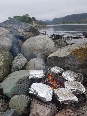 a fire grill on the rocks near the water at Holiday home Hemnskjel in Hitra