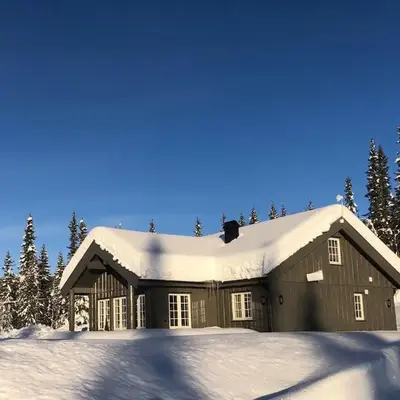 Modern and cozy cabin near ski slopes