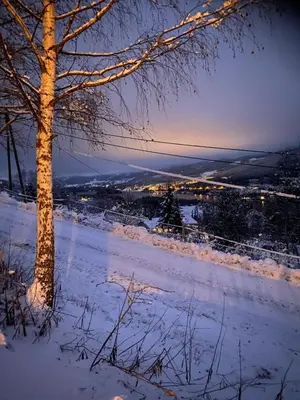a snow covered road with a tree in the foreground at Lite hus i Vestre Slidre in Slidre