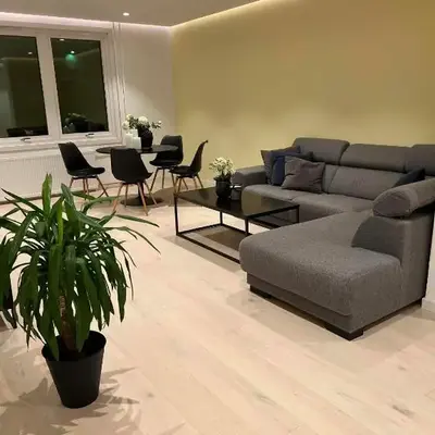 Nordic Apartment near by the city