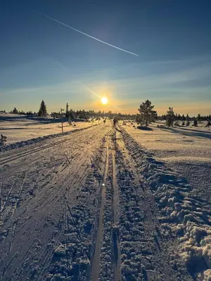 a snow covered road with the sun in the distance at Family Cabin BUDOR - 60 MIN FROM OSL - Alpine Cross Country Skiing in Løten