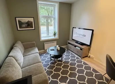 a living room with a couch and a flat screen tv at Perfect central apartment Trondheim in Trondheim
