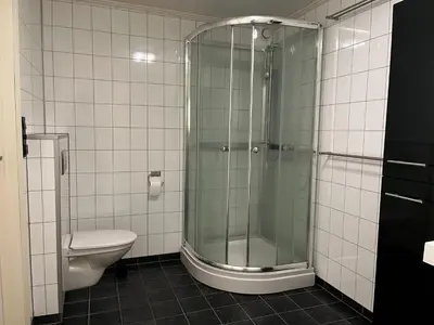 a bathroom with a glass shower and a toilet at Apartment Stedjeåsen 70 in Sogndal