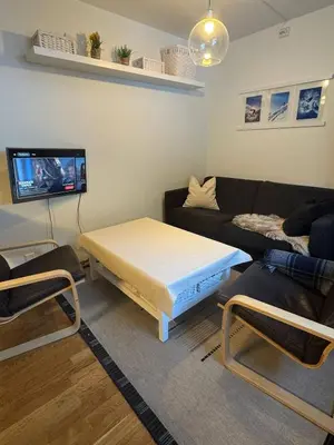 a living room with a bed and a couch at Oppheim Mountain Resort - Pool, Sauna & Lake! in Vossevangen