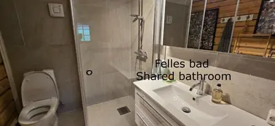 a bathroom with a sink and a toilet and a shower at Smia cabin , A Unique Rustic Hideaway in Lii