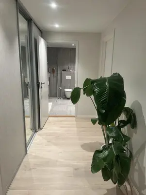 a hallway with a bathroom with a toilet and a plant at Stor og moderne leilighet ved råstølen bybanestopp in Bergen