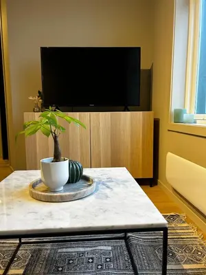 a living room with a table and a tv at Fantastic village apartment in Bergen in Bergen