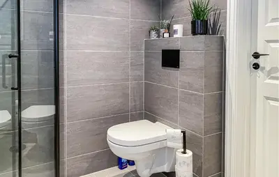 a bathroom with a toilet and a shower at Stunning Home In Bjorli With Sauna in Bjorli