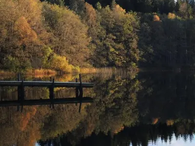 a reflection of trees in a lake with a bridge at Apartment Fw Franzi by Interhome in Hagavik