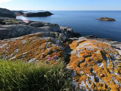 a view of the ocean from a rocky coast at Apartment Fw Franzi by Interhome in Hagavik
