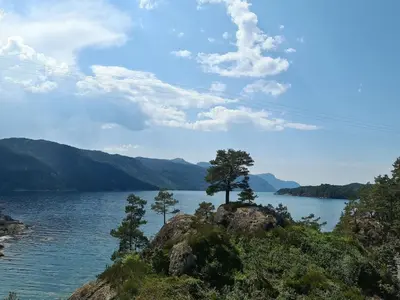 two trees on top of a large body of water at Holiday Home mit Blick auf das Wasser by Interhome in Hebnes