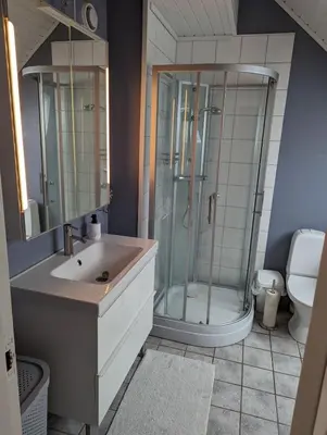 a bathroom with a shower and a sink and a toilet at Apartment centrally located in Trondheim in Trondheim