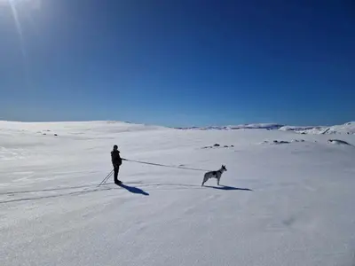 a person and a dog on a leash in the snow at Botn Fjellstue in Botn