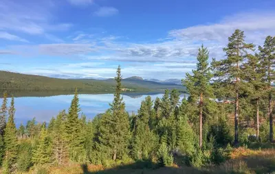 a view of a lake in the middle of a forest at Awesome Home In Gålå With Sauna in Gålå