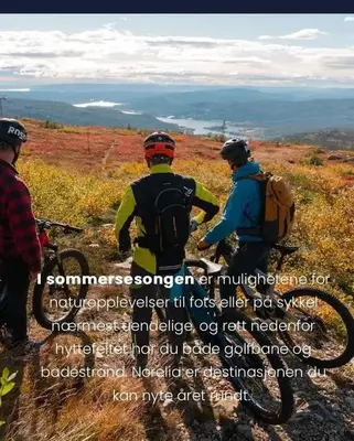 three people sitting on a hill with a bike at New and great cabin at the foot of Norefjell in Noresund