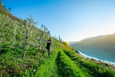 a person standing on a hill next to a river at Central Stay Odda in Odda
