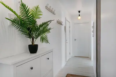 a plant sitting on a counter in a hallway at Centrum apartment 2 in Ålesund