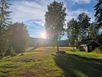 a tree in the middle of a field with a house at Cozy Off-Grid Cabin - No Power, No Running Water
