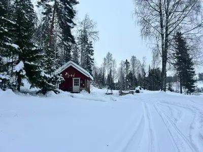 a small house in the snow next to a road at Cozy Off-Grid Cabin - No Power, No Running Water