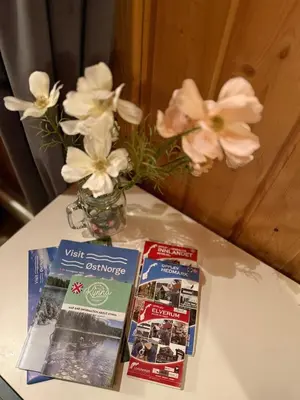 two pamphlets and a vase with flowers on a table at Musekroken in Elverum