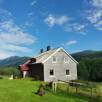 Llama Lodge 8 beds 4 Bedrooms