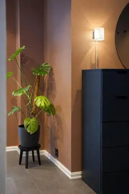 a plant sitting on a stool next to a dresser at Private house on cider farm - fjord, beach & jetty in Sogndal