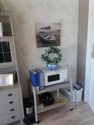 a microwave on a shelf in a room at Synnseter in Lii