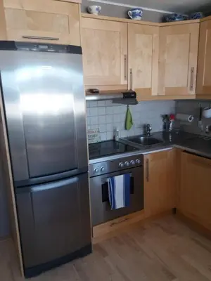 a kitchen with a stainless steel refrigerator and a sink at Synnseter in Lii