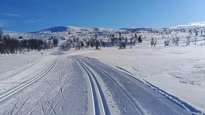 an empty road in a snow covered field with trees at Synnseter in Lii