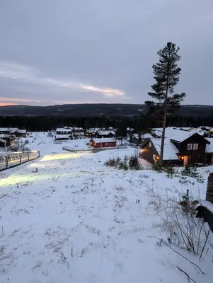 a snow covered field with houses and a tree at Håvi Solsiden 11C in Trysil