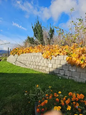 a brick retaining wall with flowers in a yard at Charming and cozy house in Vindafjord in Dørheim