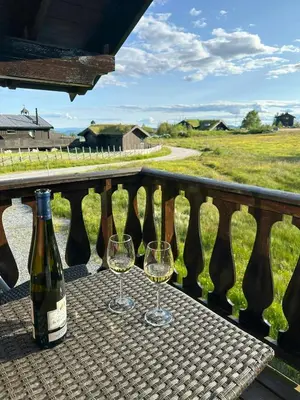 two glasses of wine sitting on a table on a balcony at Cabin By Main Ski Trail At Norefjell in Eggedal